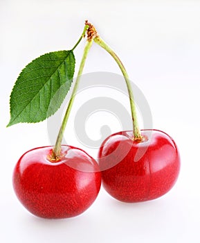 Merry cherry