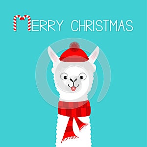 Merry Christmas. Alpaca llama baby face neck. Santa Claus red hat, scarf. Cute cartoon funny kawaii character. Happy New Year.