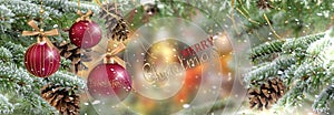 Merry Christmas  banner green tree branch ,cone and red ball on  winter  festive snow flakes blurred  gold  confetti bakcground