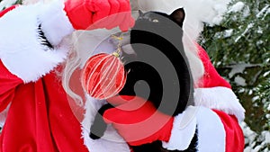 Merry Christmas.Black cat playing with a red Christmas ball in the arms of Santa Claus in the winter snowy forest