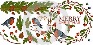 Merry Christmas, bullfinch birds with mistletoe with berries vector