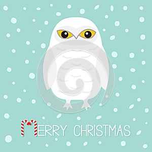 Merry Christmas Candy cane text. White Snowy owl. Sitting bird with wings. Yellow eyes. Arctic Polar baby animal. Flat design. Blu