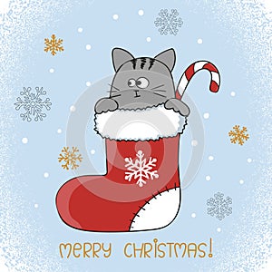 Merry Christmas card design. Cute cat in a Christmas stocking.