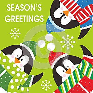 Merry christmas card design with cute penguins and snowflakes