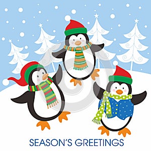 Merry christmas card design with cute penguins and snowflakes