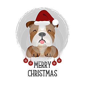 Merry Christmas card. Funny Dog in Christmas hat.