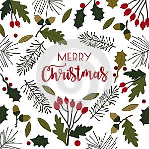 Merry Christmas card with oaks leaves, holly berries on white background. Vector illustration.