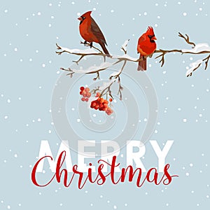 Merry Christmas Card - Winter Birds with Rowan Berries