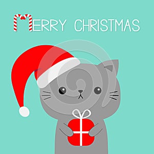 Merry Christmas. Cat holding red xmas gift box. Red Santa Claus hat. Cartoon kawaii character. Cute face icon. Kitten kitty. Funny
