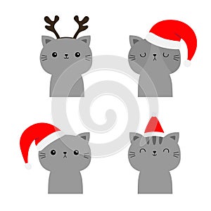 Merry Christmas. Cat set. Cute cartoon funny character. Gray face icon in red santa hat, dee horns. Kitten kitty. Funny kawaii