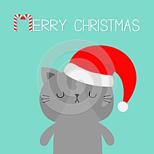 Merry Christmas. Cute cat in red Santa Claus hat. Cartoon character. Kawaii face icon. Kitten kitty. Funny baby pet animal Candy