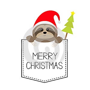 Merry Christmas. Cute sloth face head in the pocket. Santa hat. Fir tree. Cartoon animal. Lazy character. Dash line. White and