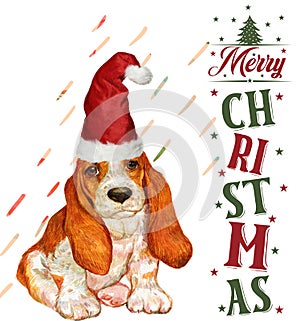 Merry Christmas Dog wearing a Santa Hat illustration