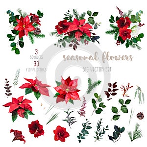 Merry Christmas floral vector big design set
