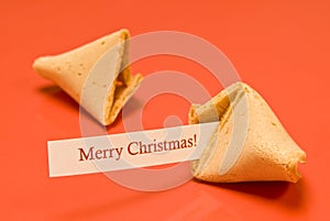 Merry Christmas Fortune Cookie