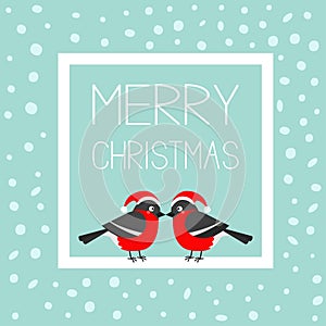 Merry Christmas greeting card. Bullfinch winter red feather bird set. Santa hat. White square frame with text. Cute cartoon funny