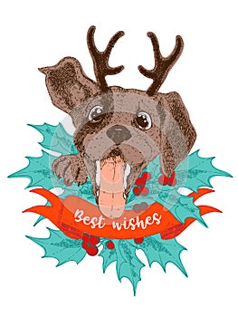 Merry Christmas greeting card. Happy beagle puppy with antler, holly brunches and berries.