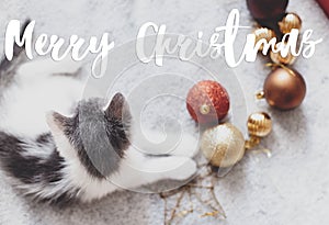 Merry Christmas Greeting card. Merry Christmas text handwritten on adorable kitten playing with christmas star, ornaments on soft