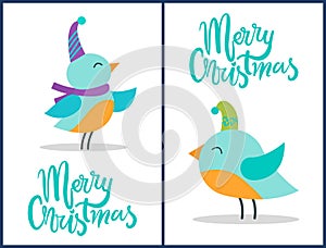 Merry Christmas Greeting Cards Tiny Birds Posters