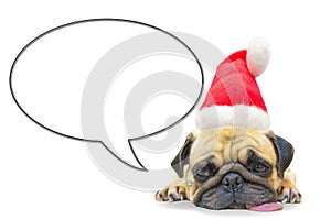 Merry christmas and happy new year 2017 Postcard with Pug dog