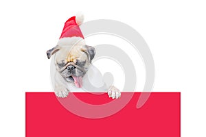 Merry Christmas and Happy New Year 2017 Postcard with Pug dog in Santa Claus hat stand above banner board with copy space