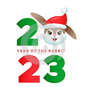 Merry Christmas and Happy New Year 2023 greeting card. Cute rabbit dressed as Santa. Xmas