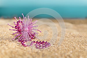 Merry Christmas and Happy New Year background, Christmas glitter pink decoration star on the tropical beach near ocean