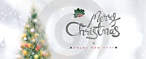 Merry Christmas and Happy New Year banner