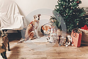merry christmas and happy new year concept. cute brown dog sitting in festive room under christmas tree with lights and presents