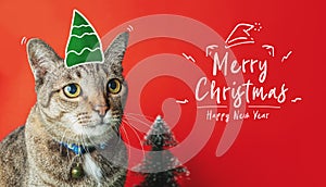 Merry christmas and happy new year doodle with cat nome and christmas tree on red background,holiday greeting card photo