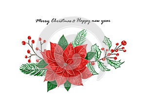 Merry Christmas and happy new year festival with poinsettia flower or Christmas Star and Christmas plant vector