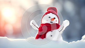 Merry Christmas and Happy New year greeting card with copy-space. Happy snowman standing in snow background