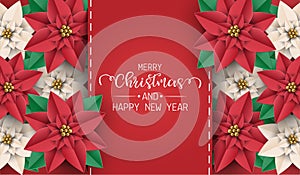 Merry Christmas and happy new year greeting card, postcard, poster with red and white poinsettia flowers on red background. Vector