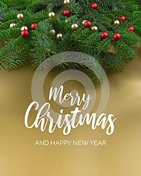 Merry Christmas and Happy New Year Sign with spruce branch