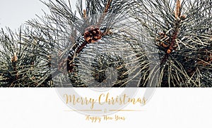 Merry christmas and happy new year typo glitter text  white paper and green pine tree background.holiday celebration greeting card