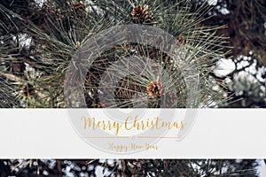 Merry christmas and happy new year typo glitter text  white paper and green pine tree background.holiday celebration greeting card