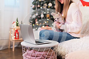 Merry Christmas and happy new year. Woman and puppy dog in sweater having a video chat on laptop, enjoy winter holidays