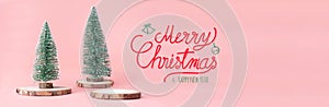 Merry Christmas and happy new year word at christmas tree on wood log slice with present box on pastel pink studio background.