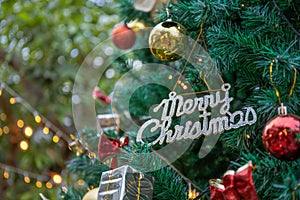 Merry christmas logo on the tree for chiristmas time