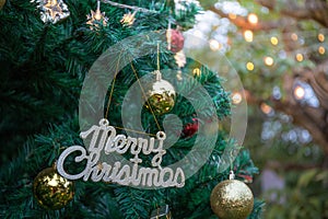 Merry christmas logo on the tree for chiristmas time