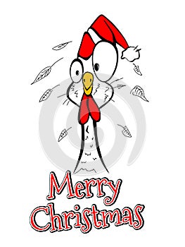 Merry Christmas Merry Christmas Year chicken rooster comical funny photo