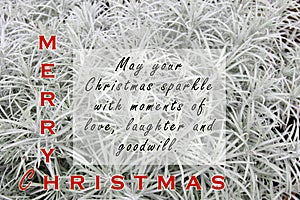 Merry christmas and new year inspirational quote - May your Christmas sparkle with moments of love, laughter and goodwill.