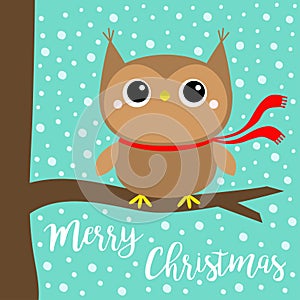 Merry Christmas. Owl bird wearing red scarf. Cute cartoon kawaii funny baby character sitting on tree branch. Snow flake blue