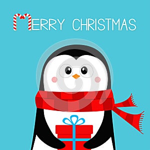 Merry Christmas. Penguin holding gift box present. Red scarf. Happy New Year. Cute cartoon kawaii baby character. Arctic animal.