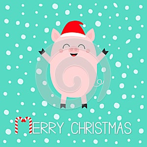 Merry Christmas. Pig piglet. Cute cartoon funny baby character. Hog swine sow animal. Santa hat. Chinise symbol of 2019 new year.