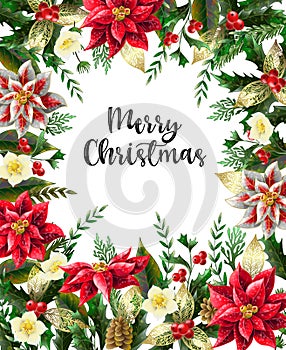 Merry Christmas poster or banner with december flowers and slogan. Vector.