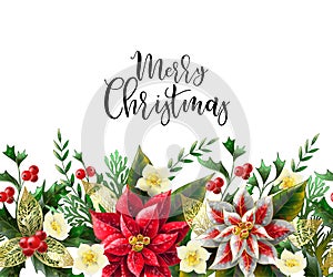 Merry Christmas poster or banner with december flowers and slogan. Vector.