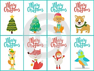 Merry Christmas Posters Set on Vector Illustration