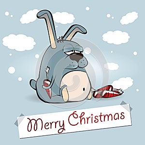 Merry Christmas rabbit
