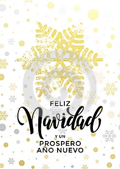 Merry Christmas Spanish Feliz Navidad, New Year Ano Nuevo greeting photo